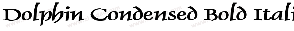Dolphin Condensed Bold Italic字体转换